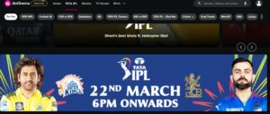 Watch IPL 2024 For Free on FireStick